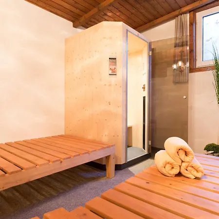 Berggasthof Hoellenstein Casa de hóspedes Wagrain