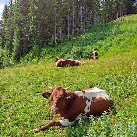 Berggasthof Hoellenstein 3*