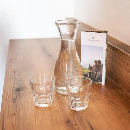 Berggasthof Hoellenstein Casa de hóspedes Wagrain