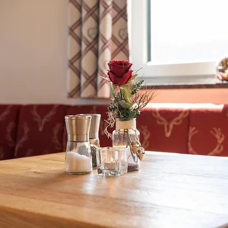 Berggasthof Hoellenstein 3* Wagrain